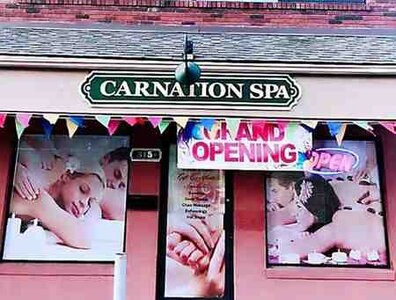 Carnation