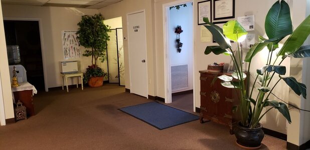 Pinetree spa